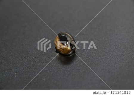 孵化寸前のイモリ 121541813