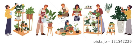 Cartoon people take care of indoor plants. Home gardening. Man watering houseplant in greenhouse. Woman transplanting ficus into flowerpot. Gardeners prune flowers. Garish vector set Cartoon people take care of indoor plants. Home gardening. Man watering houseplant in greenhouse. Woman transplanting ficus into flowerpot. Gardeners prune flowers. Garish vector set 121542229