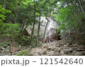 金時山の宿り石 121542640