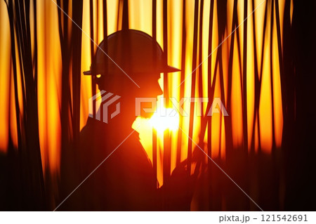 Construction Worker Focused on Reinforcing Steel Rods at Sunset with Clear Orange Background 121542691