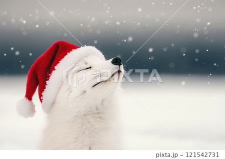 Chic Arctic Fox in Winter Gear with Santa Hat 121542731