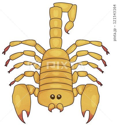 かわいいサソリのイラスト 121543164