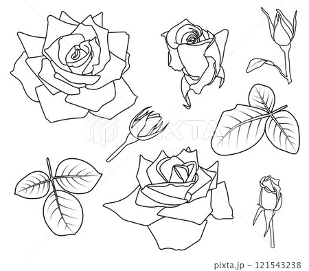 Various rose silhouette icons set 121543238