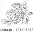 Line Roses border. Outline flowers bouquet, buds and leaves 121543267