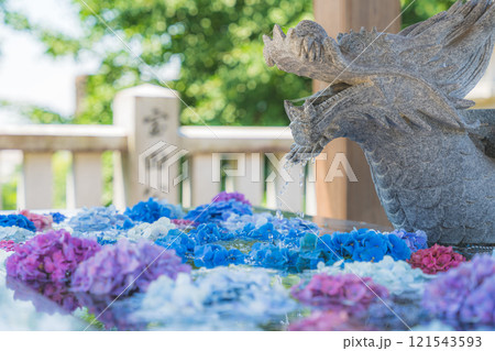 紫陽花のある手水舎 121543593