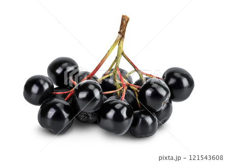 Chokeberry with leaf isolated on white background. Black aronia. 121543608