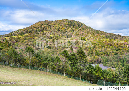 紅葉し始めの茶臼山高原の風景(愛知県) 紅葉し始めの茶臼山高原の風景(愛知県) 121544493