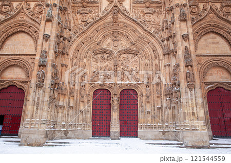 Portal of New Cathedral in Salamanca, Spain 121544559