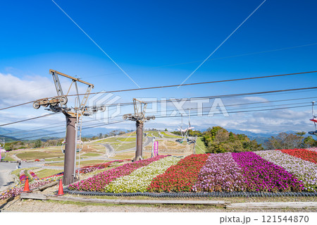 青空に映える茶臼山高原のペアリフトとサンパチェンスの風景(愛知県) 121544870