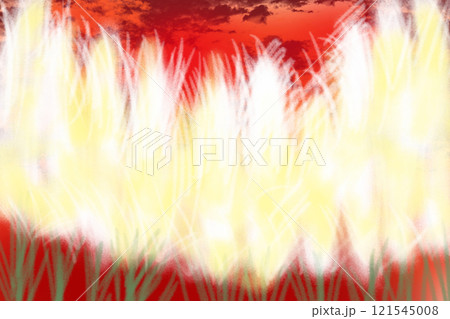 白銀葦、銀葦(シロガネヨシ)、パンパスグラスと夕日のカード 白銀葦、銀葦(シロガネヨシ)、パンパスグラスと夕日のカード 121545008