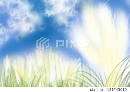 白銀葦、銀葦（シロガネヨシ）、パンパスグラスと青空のカード 121545010