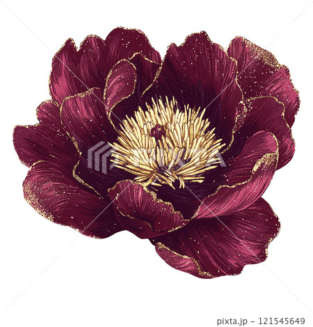 watercolor flower peony burgundy with gold glitter with flowers 121545649