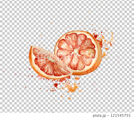 Juicy Red oranges and watercolor splash in botanical style painted. Pink ripe grapefruits illustration isolated. Half and slice grapefruits on juice drops hand drawn sketch. Citrus fruits for design. 121545755