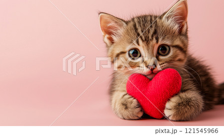 cute funny cat with heart for valentine's day cute funny cat with heart for valentine's day 121545966