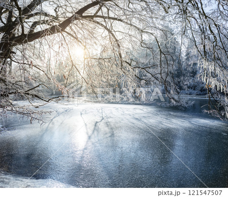 Winter Frosted Tree Branches above Frozen Lake. 121547507