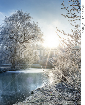 Winter Frosted Tree Branches above Frozen Lake. 121547508