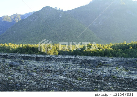 Parque Nacional Conguillo Chile 121547831