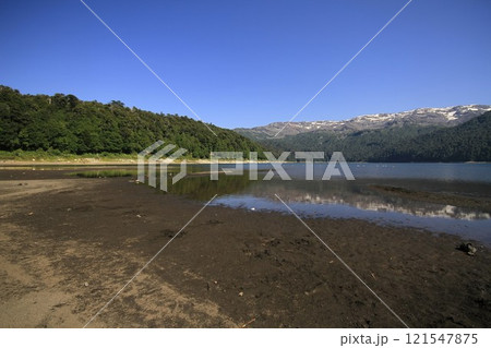 Parque Nacional Conguillo Chile 121547875