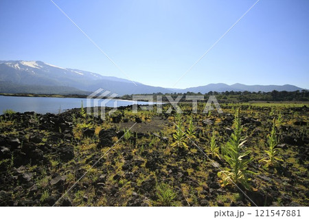 Parque Nacional Conguillo Chile 121547881