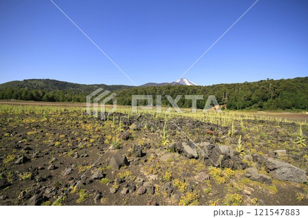 Parque Nacional Conguillo Chile 121547883
