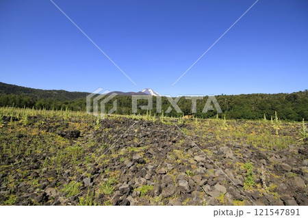 Parque Nacional Conguillo Chile 121547891