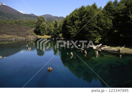 Parque Nacional Conguillo Chile 121547895