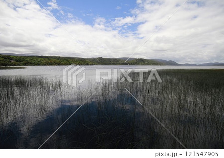 Parque nacional de chiloe 121547905
