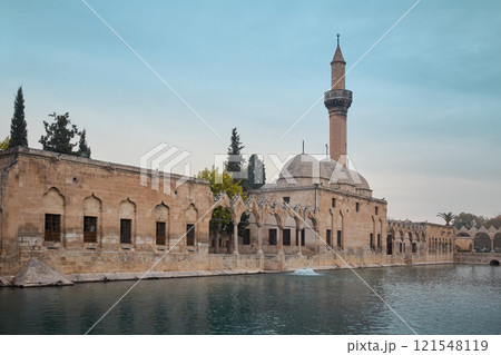 Fish lake and Rizvaniye mosque in Sanliurfa old town, Turkey 121548119