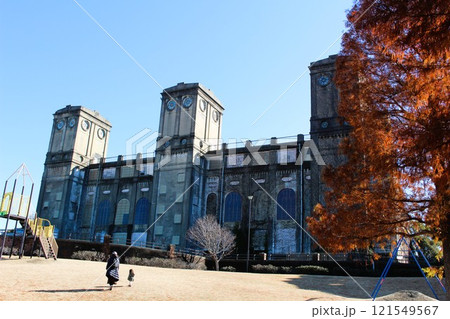 青空と紅葉の森林公園 根岸競馬場跡 横浜市 神奈川県 青空と紅葉の森林公園 根岸競馬場跡 横浜市 神奈川県 121549567