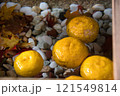 手水舎の水に浮く黄色い柚子 121549814