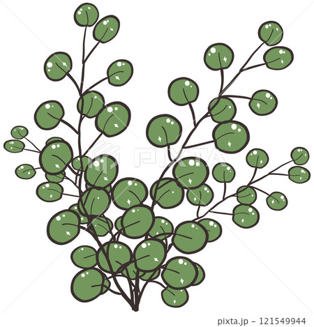 set of green branches 121549944