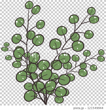 set of green branches 121549944