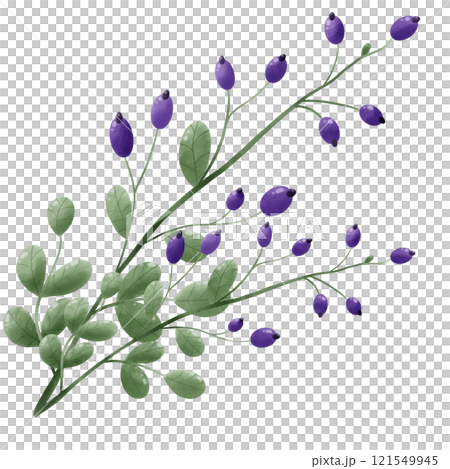 set of watercolor green leaves 121549945