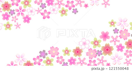 和柄　桜　春　背景 121550048