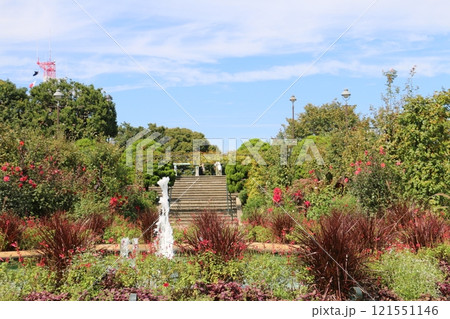 横浜港の見える丘公園 横浜港の見える丘公園 121551146