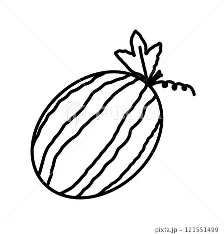Watermelon 121551499