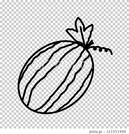 Watermelon 121551499