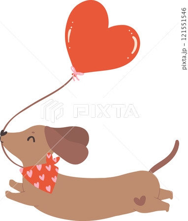 Cute Valentine Dog Dachshund with heart balloon Cute Valentine Dog Dachshund with heart balloon 121551546