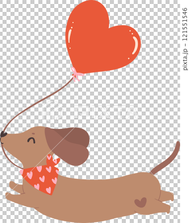 Cute Valentine Dog Dachshund with heart balloon Cute Valentine Dog Dachshund with heart balloon 121551546