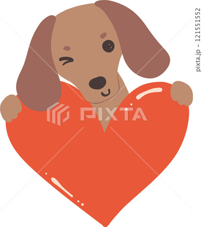 Cute Valentine Dog Dachshund face hug heart 121551552