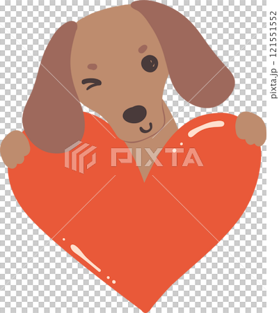 Cute Valentine Dog Dachshund face hug heart 121551552