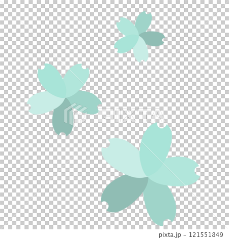 淺藍色上有三種不同顏色花瓣的櫻花 121551849