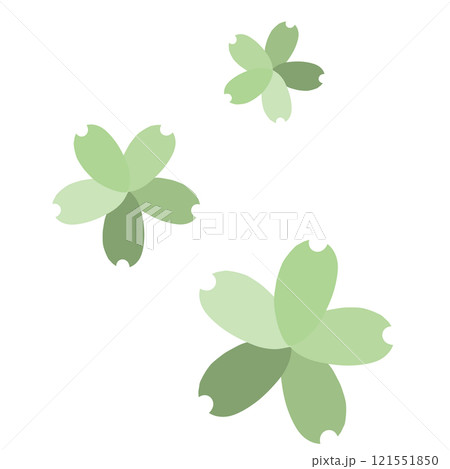 緑の3つの色の違う花びらの桜の花 121551850