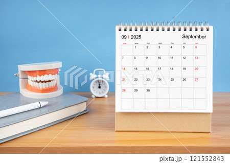 September monthly desk calendar for 2025 year and model dentures on the table. September monthly desk calendar for 2025 year and model dentures on the table. 121552843