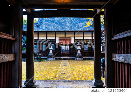 天祐寺の紅葉【長崎県諫早市】 天祐寺の紅葉【長崎県諫早市】 121553404