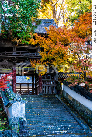 天祐寺の紅葉【長崎県諫早市】 天祐寺の紅葉【長崎県諫早市】 121553413