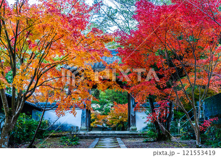 天祐寺の紅葉【長崎県諫早市】 121553419