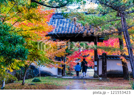 天祐寺の紅葉【長崎県諫早市】 天祐寺の紅葉【長崎県諫早市】 121553423