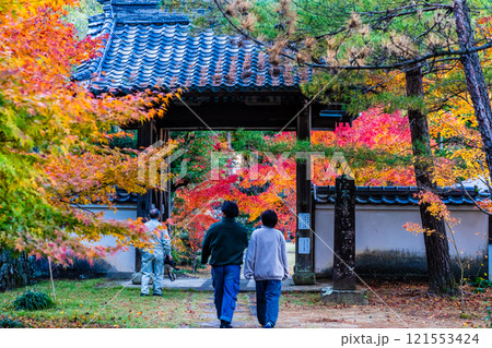 天祐寺の紅葉【長崎県諫早市】 121553424