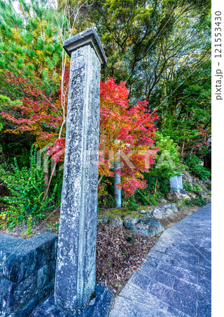 天祐寺の紅葉【長崎県諫早市】 121553430